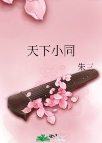 天下小同